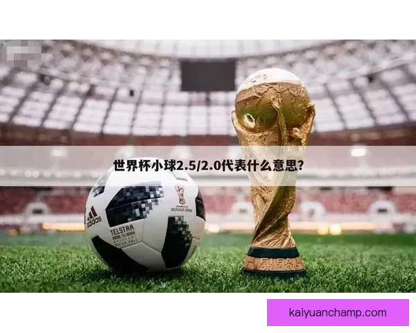 深度解析2026世界杯竞猜盘口走势与热门球队胜负概率全面前瞻